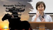 Waspada Terhadap “Panah-Panah” yang Ditujukan ke Arahmu! (Ibu Elizabeth Mutiara)