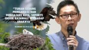 Tuhan Sedang Mengawasi Dan Mengajari Kita, Bagaikan Induk Rajawali Terhadap Anaknya (Bpk. Petrus. T)